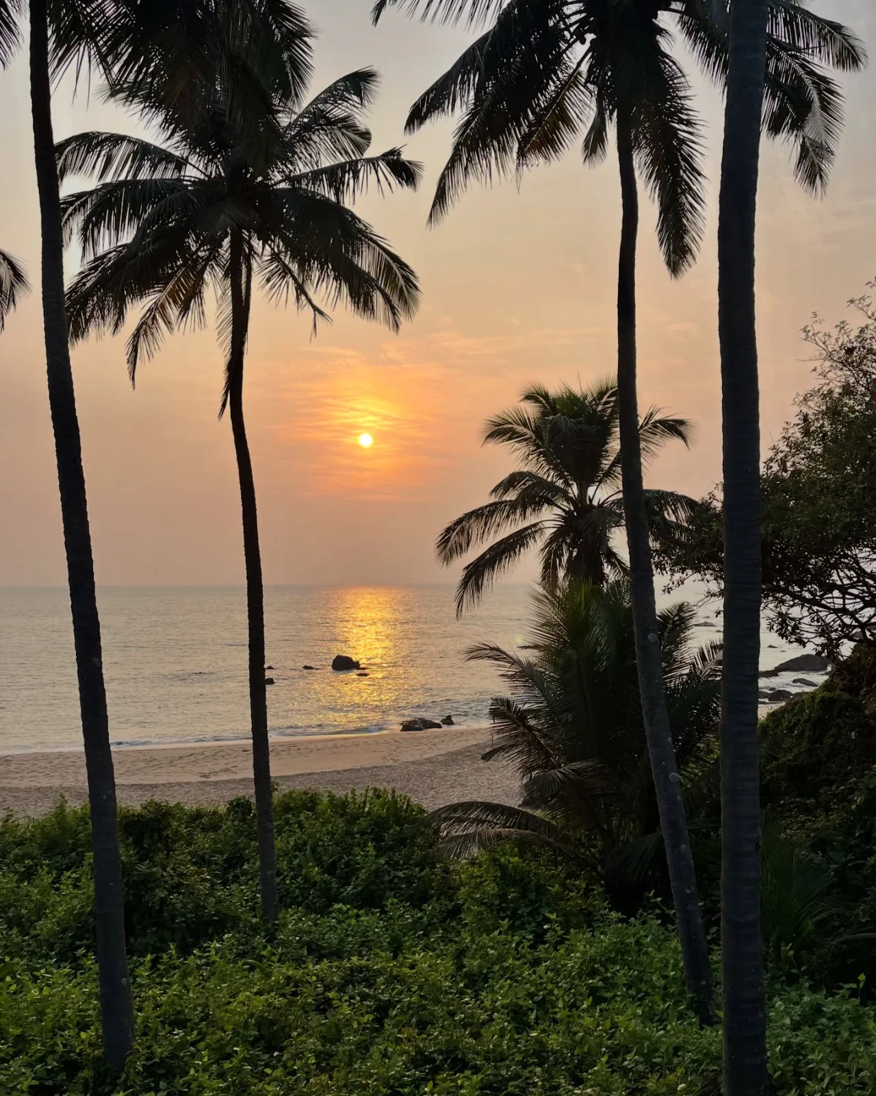 GOA: REUNION